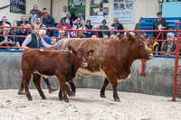 lot 34 Grinkle Barolo Rosebud sold for 2250gns